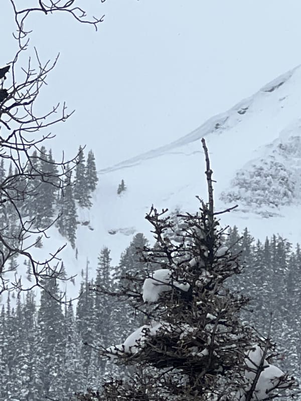 Observation photo 1