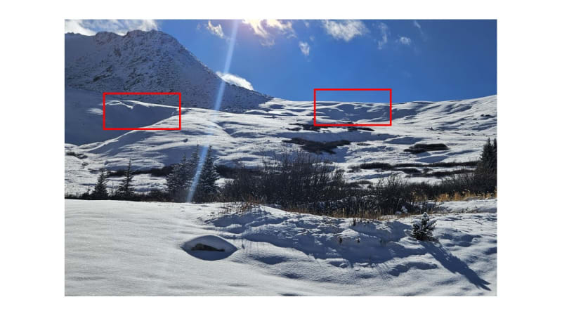 Observation photo 1