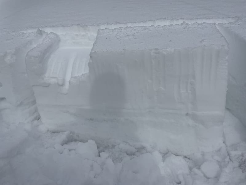 Observation photo 3