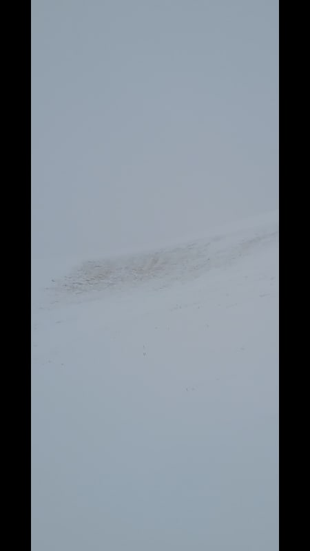 Observation photo 1