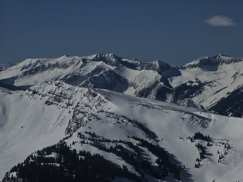 Observation photo 1