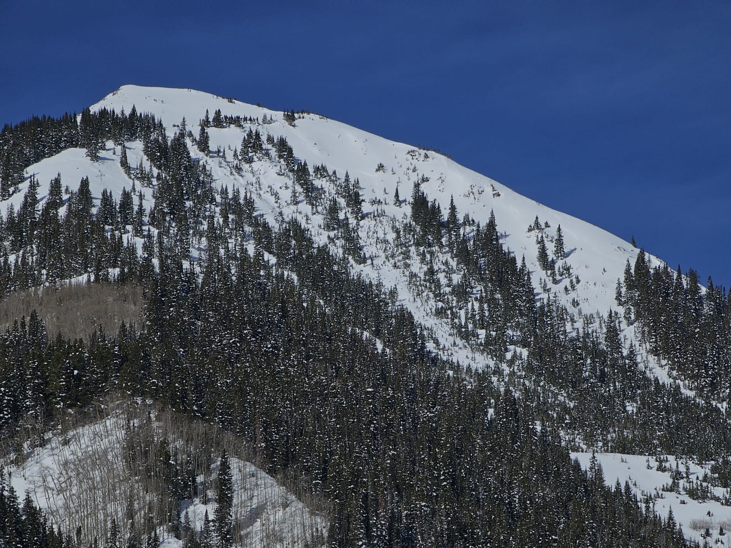 Observation photo