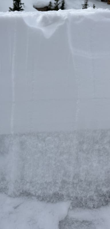 Observation photo 6