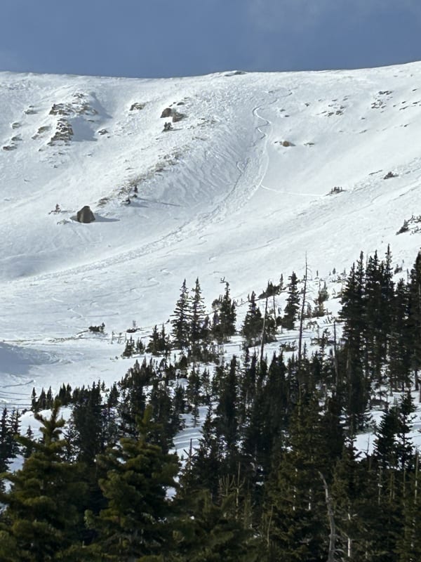 Observation photo 1