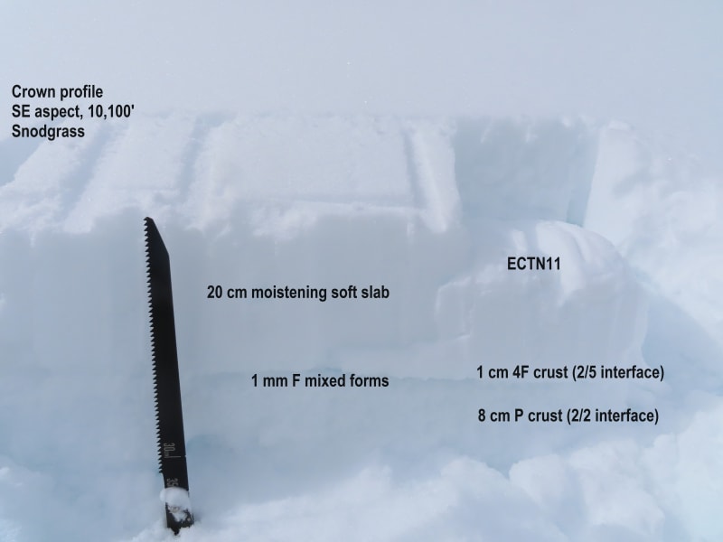 Observation photo 1