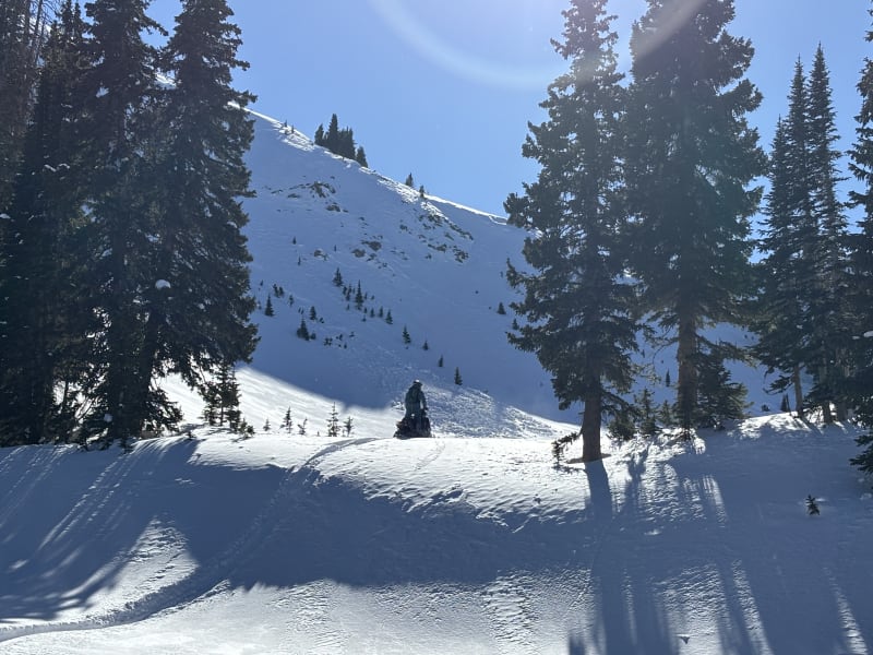 Observation photo 3