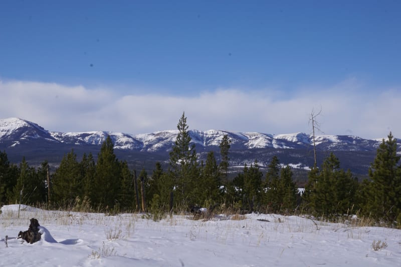 Observation photo 6