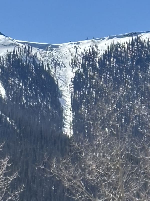 Observation photo 1