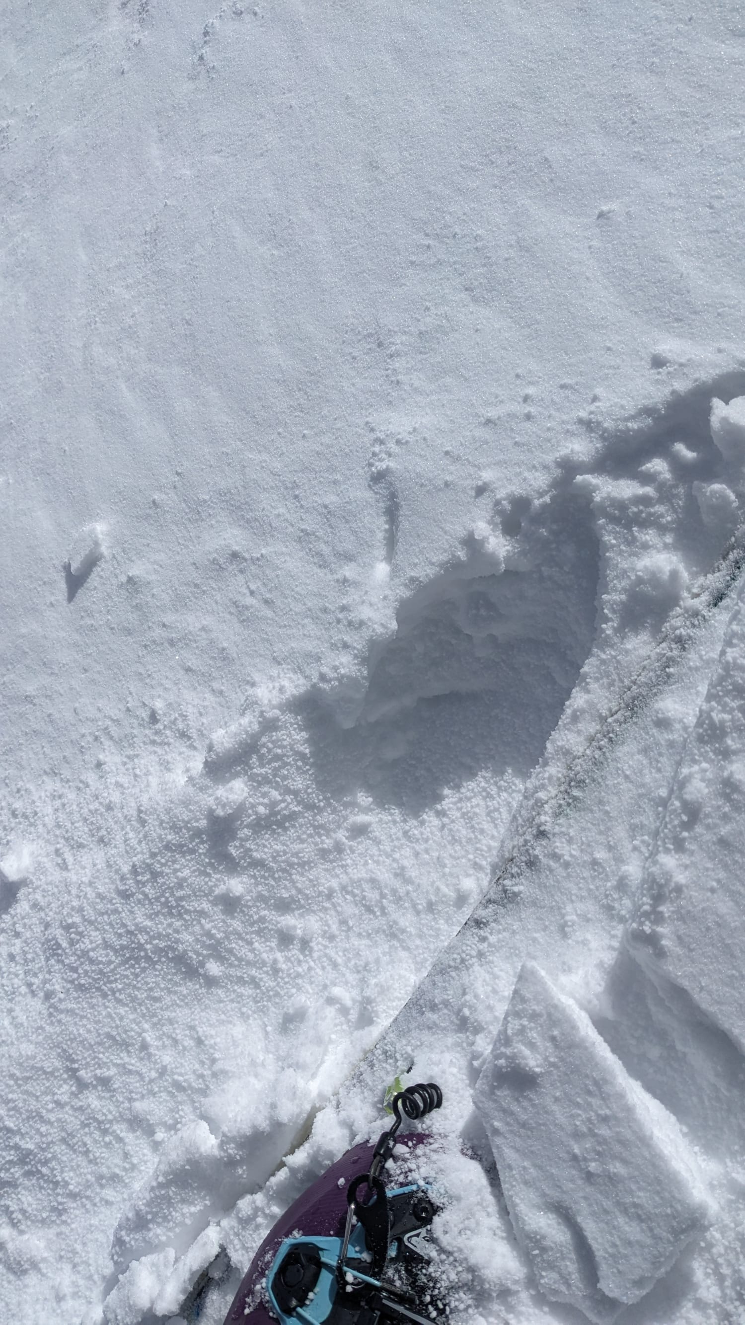 Observation photo