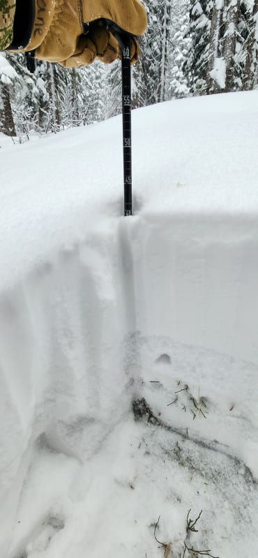 Observation photo 3