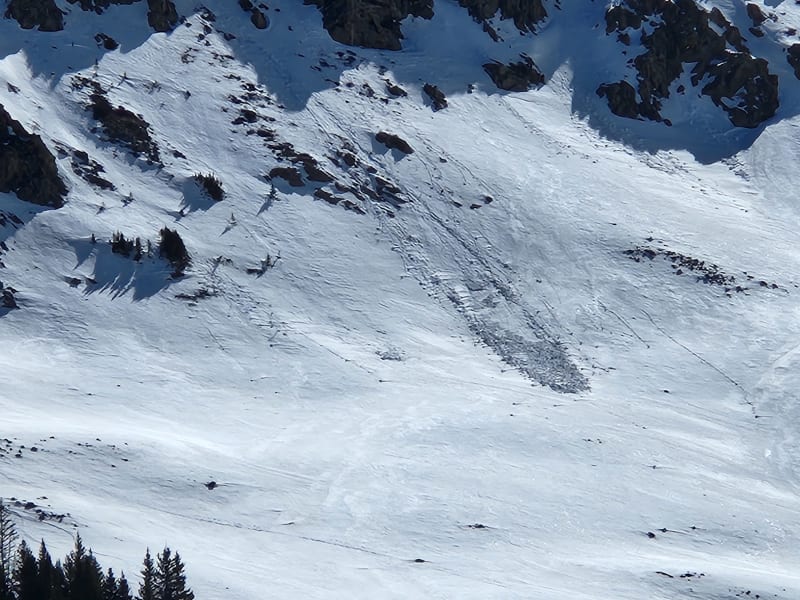 Observation photo 1