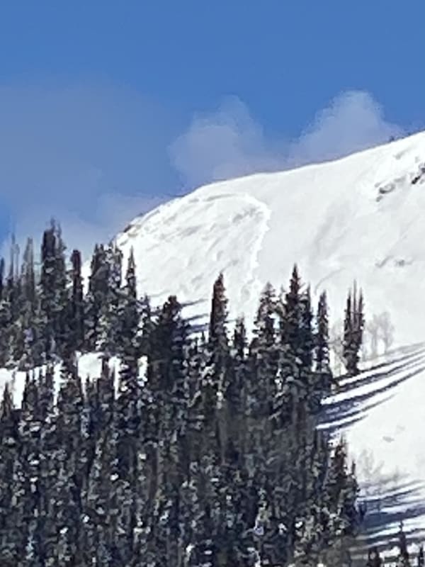 Observation photo 3