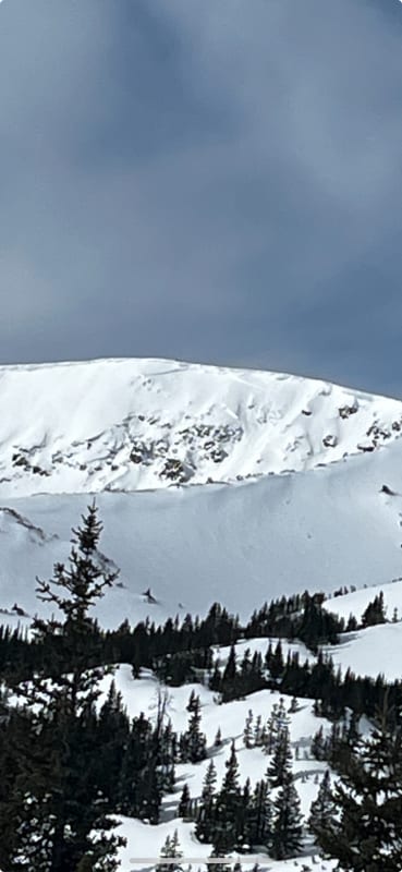 Observation photo 1