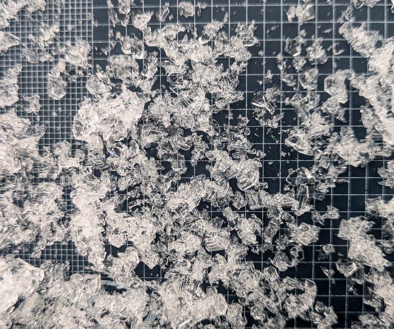 Observation photo 2