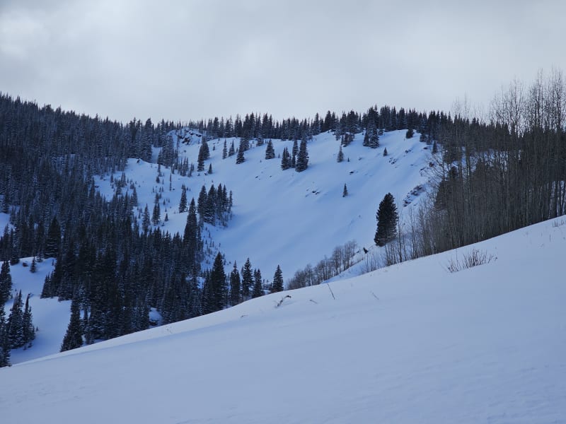 Observation photo 6