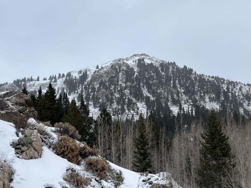 Observation photo 3