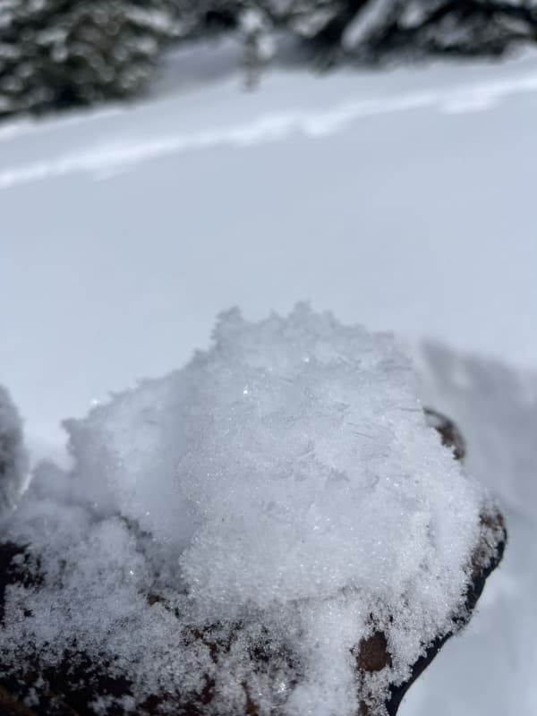 Observation photo 4