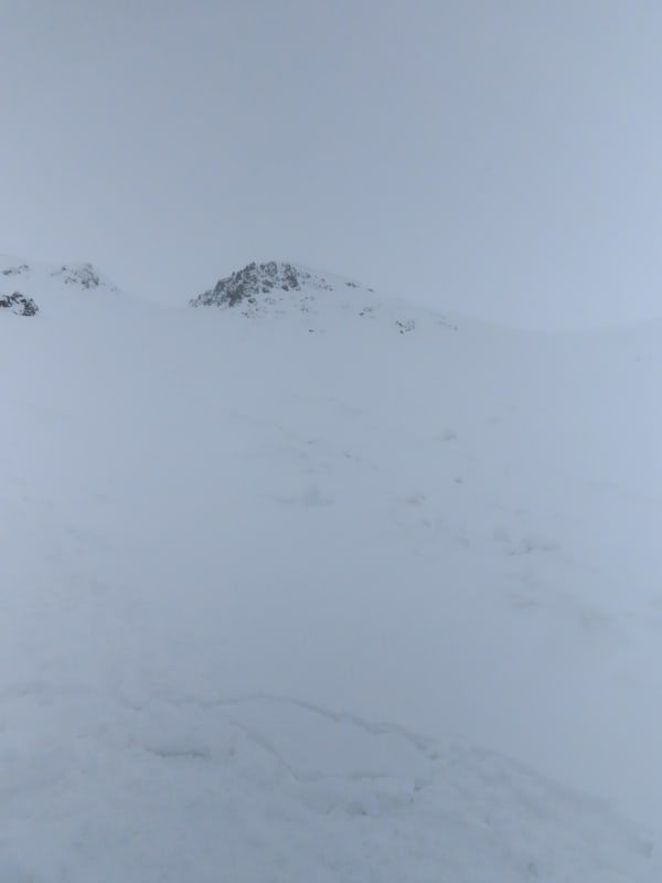 Observation photo 3
