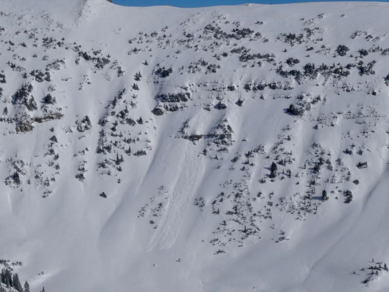 Observation photo 3
