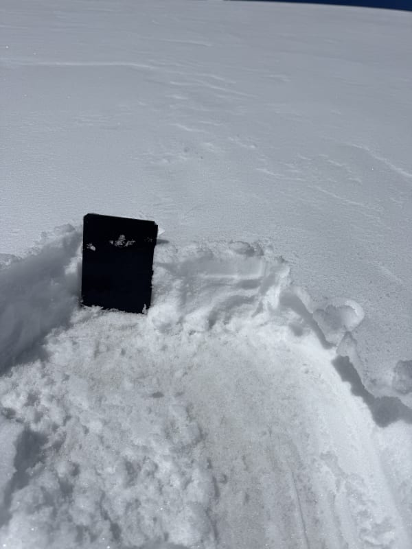 Observation photo 2