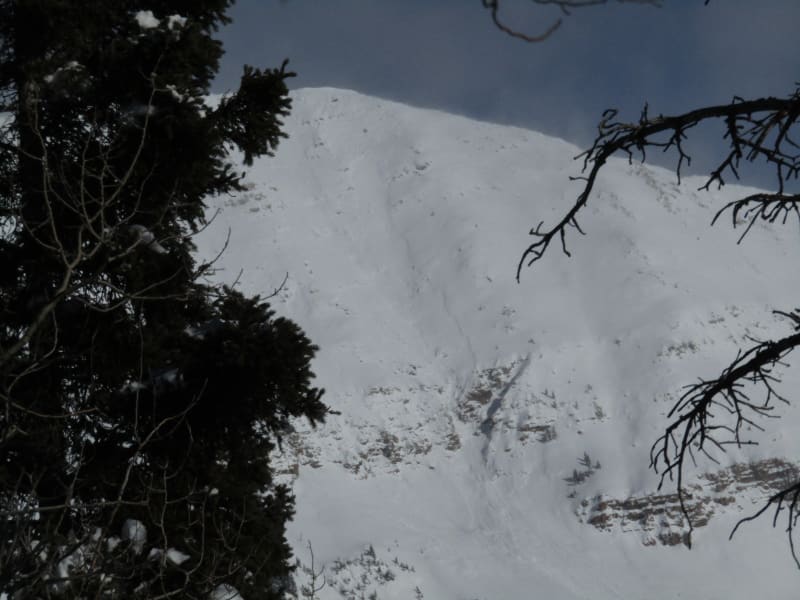 Observation photo 4