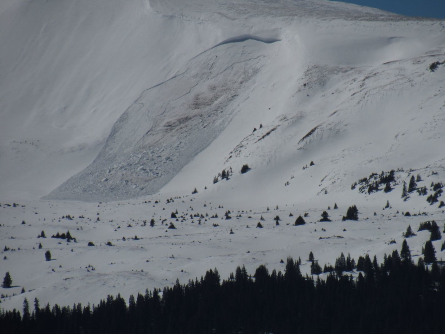Observation photo