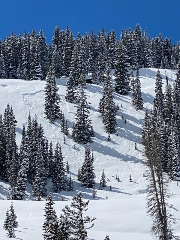 Observation photo 1