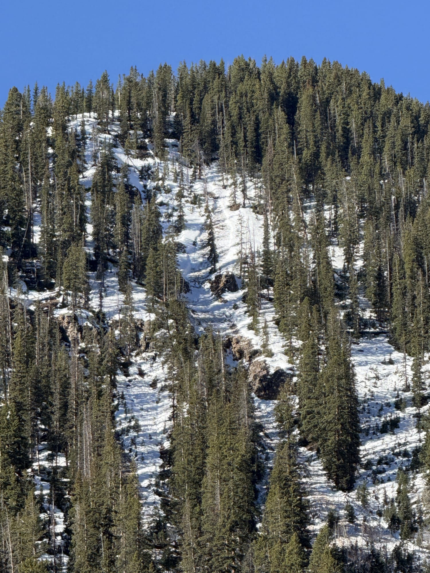 Observation photo