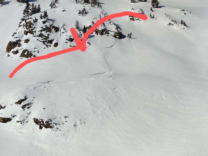 Observation photo 4