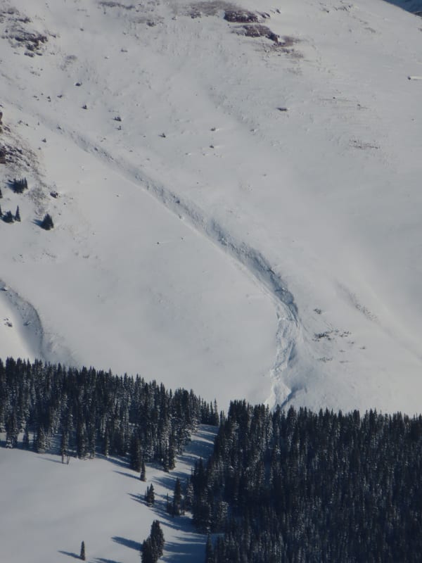 Observation photo 4