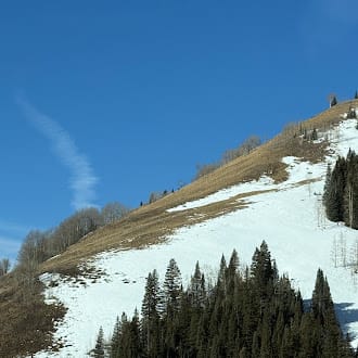 Observation photo