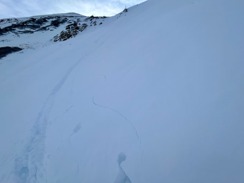 Observation photo 1
