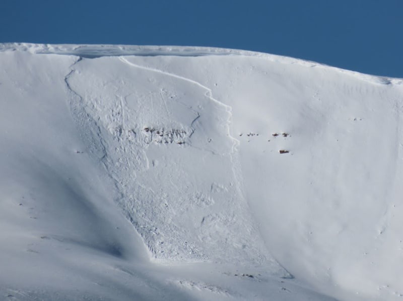 Observation photo 1
