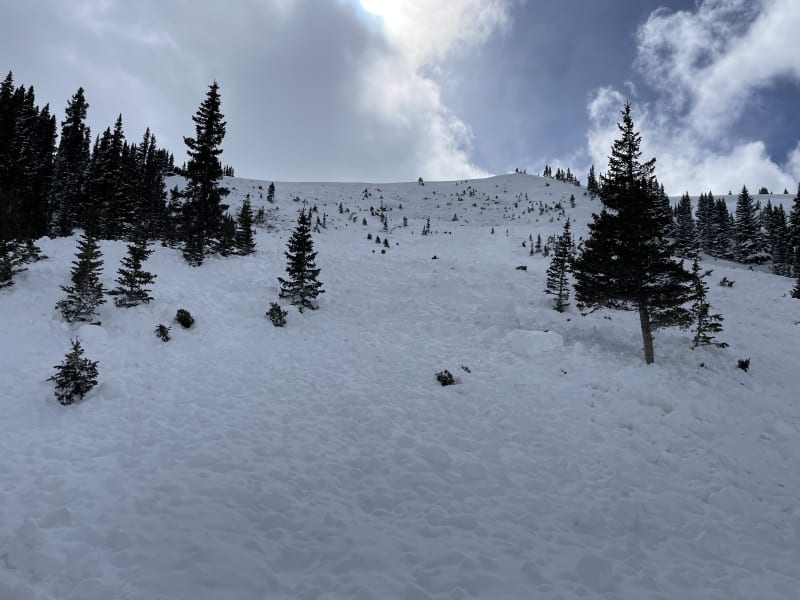 Observation photo 1