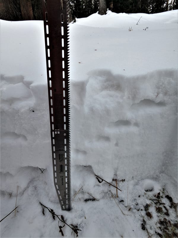 Observation photo 3