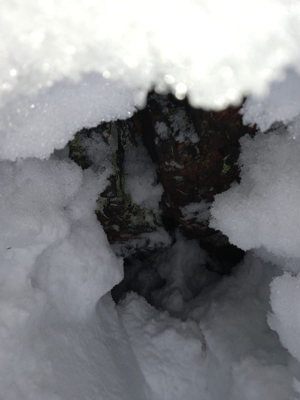 Observation photo 2