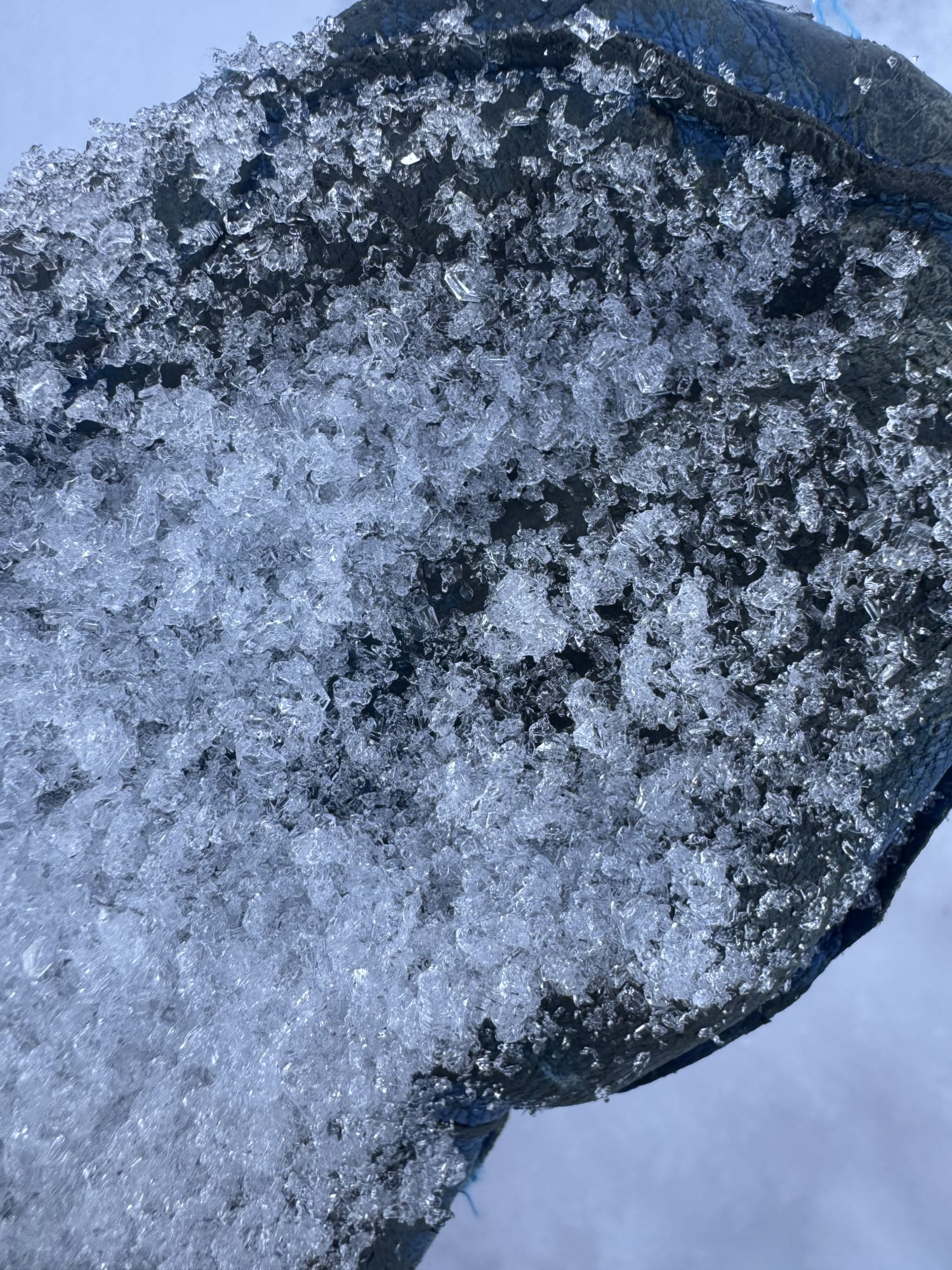 Observation photo