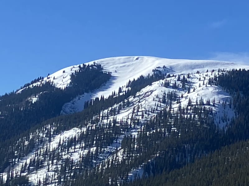 Observation photo 1