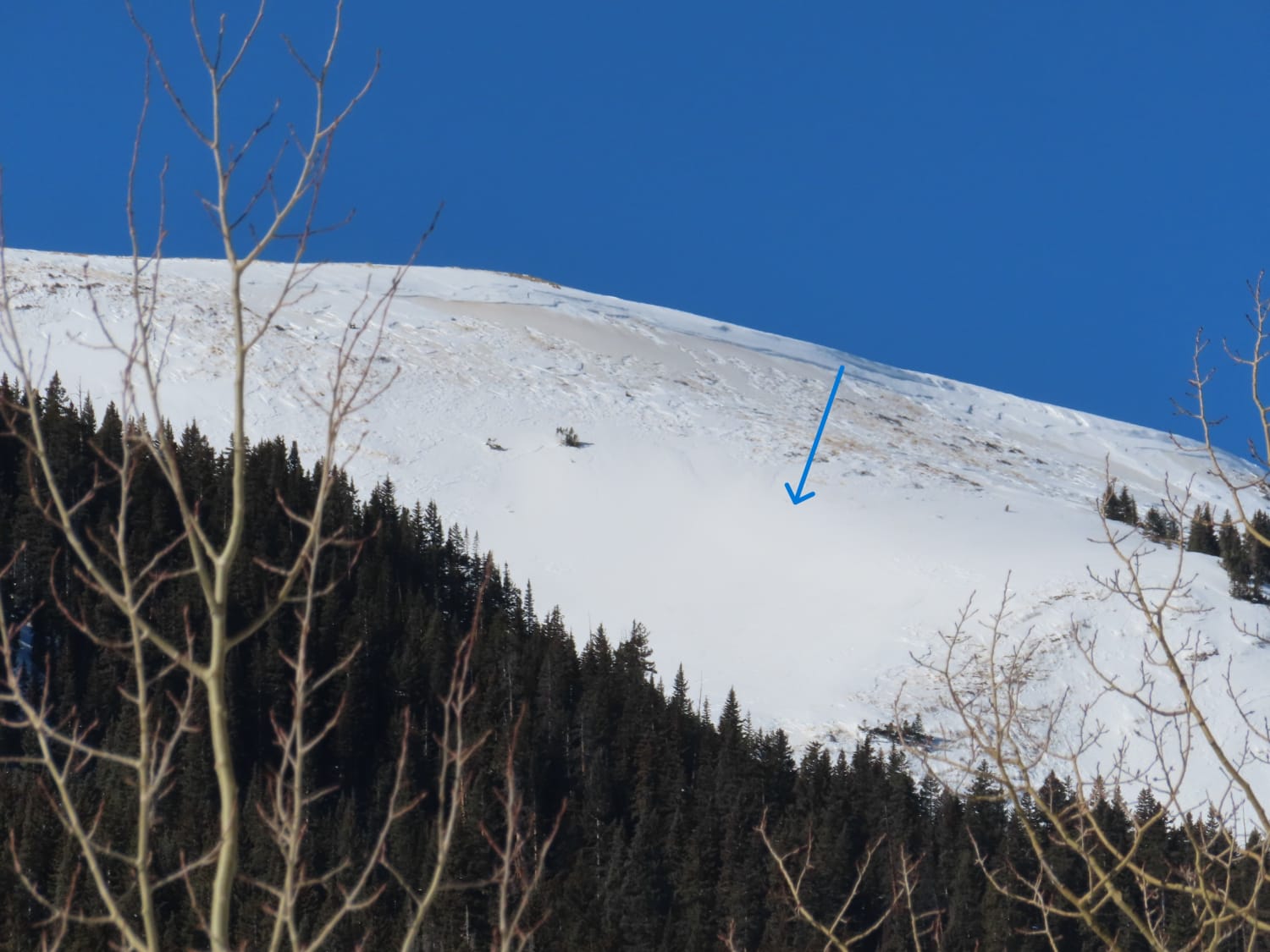 Observation photo