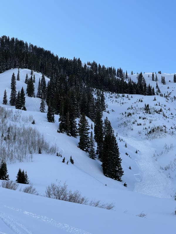 Observation photo 1