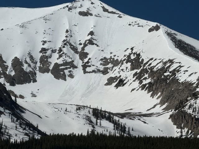 Observation photo 3