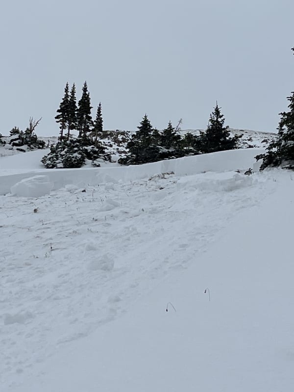 Observation photo 1