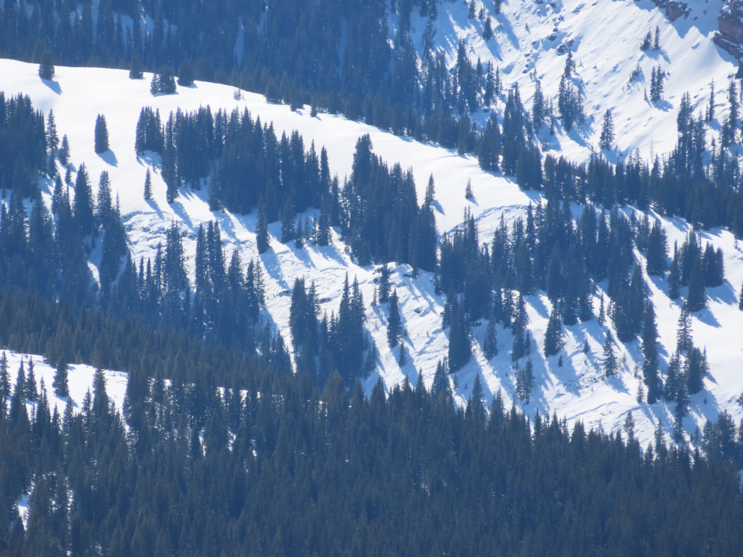 Observation photo