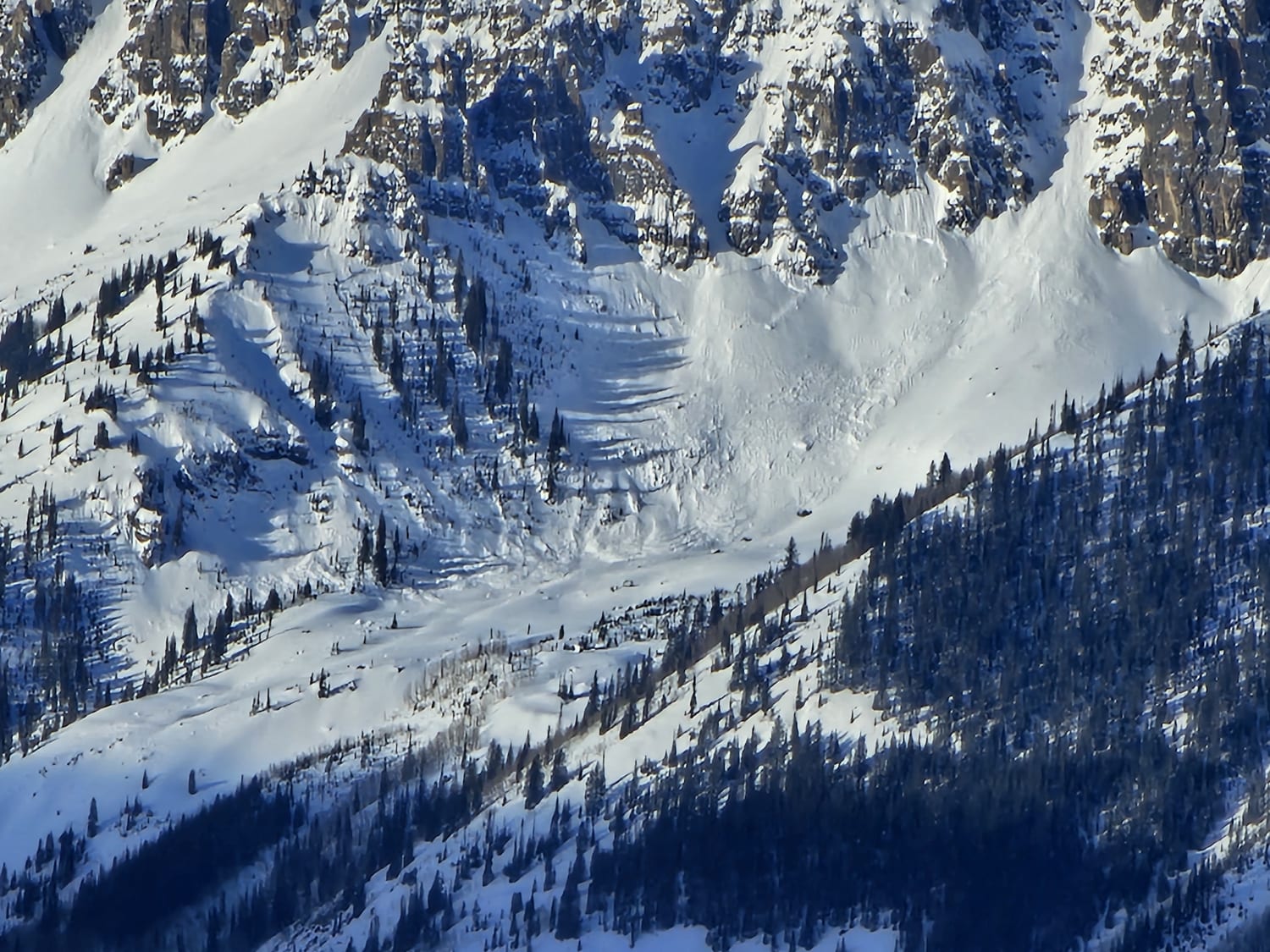 Observation photo