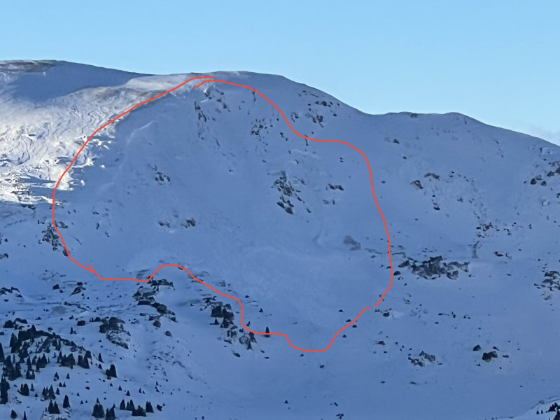 Observation photo 1