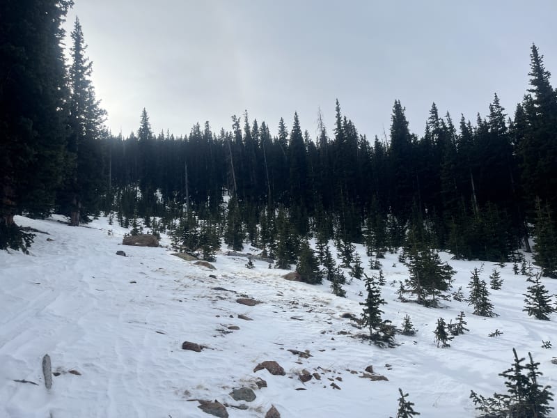 Observation photo 3