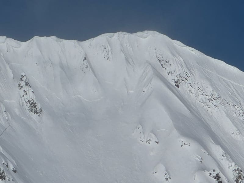 Observation photo 1
