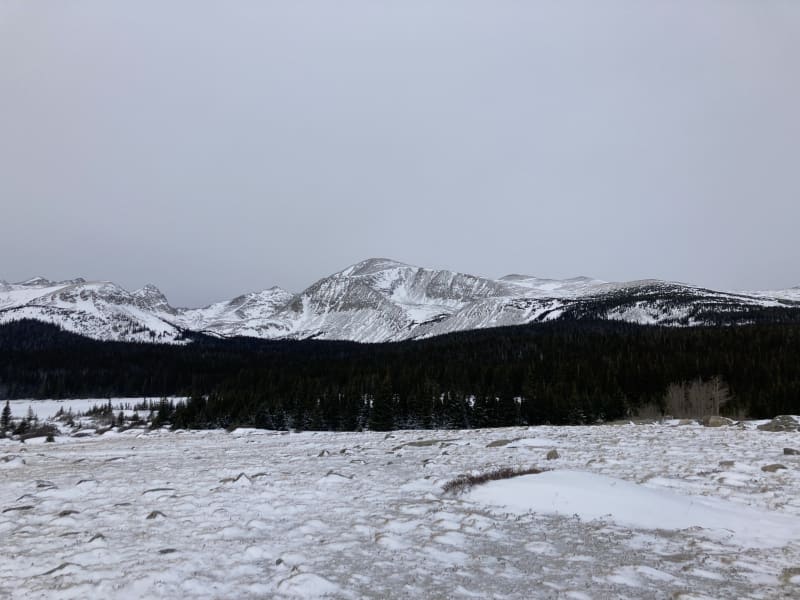 Observation photo 2