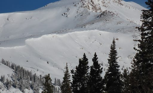 Observation photo 1