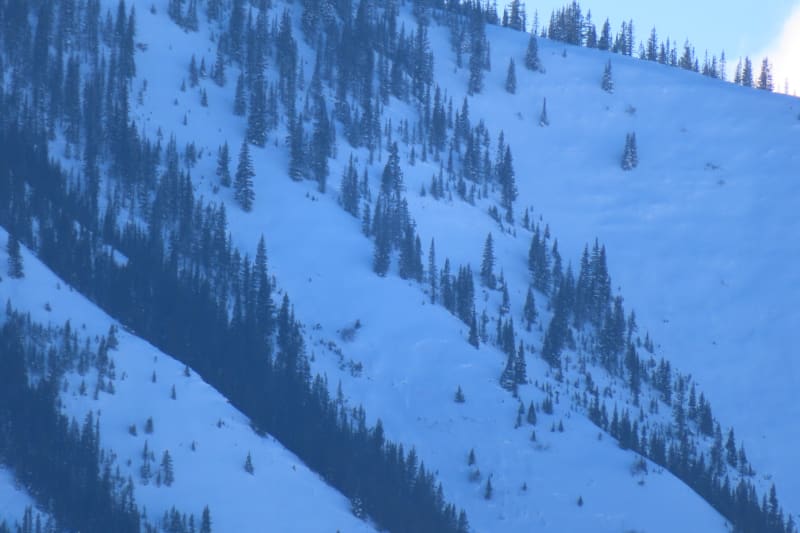 Observation photo 1
